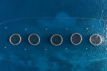 Aerial top view of the rings of tuna farm in the Mediterranean sea. Europe. Malta country