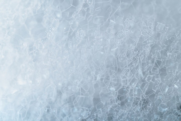 Fototapeta premium Soap bubbles extreme closeup creating elegant and stylish look