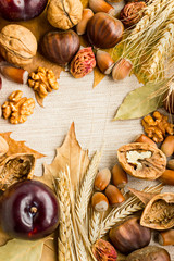 Creative Harvest Design with,walnut,hazelnut,chestnut,wheat ears,cotton ball,plum,grape and dry autumn leaves.Space for text on the center.