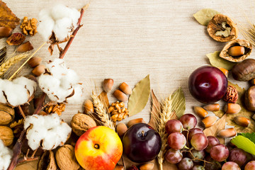 Creative Harvest Design with,walnut,hazelnut,chestnut,wheat ears,cotton ball,plum,grape and dry autumn leaves.Space for text on the center.