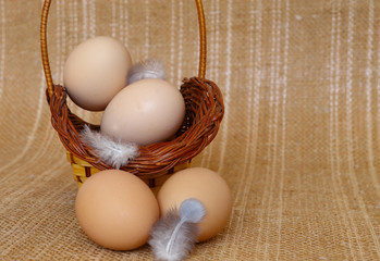 Eggs and chicken eggs. Chicken eggs with feathers, on the cloth of sacking in a wicker basket. Agricultural products, natural eggs. Healthy eating concept.