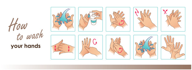 Fototapeta How to wash your hands. Cleaning and disinfecting hands. Medical instruction. Vector icons obraz