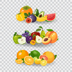 Fresh fruits vector illustration. Healthy diet concept. Organic fruits and berries.