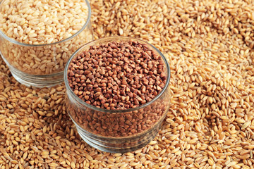 Natural,ripe wheat grains in the glass bowl on grains background.