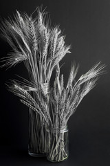 Bunch of wheat and barley in the glass vases.Black and white,vertical image.
