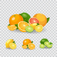 Fresh fruits vector illustration. Healthy diet concept. Organic fruits and berries. Mix of fruits on white background vector illustration. Fresh citrus concept
