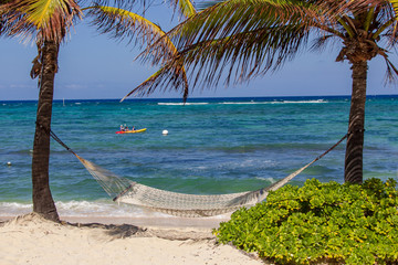 Beach hammock