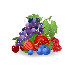Fresh berries vector illustration. Healthy diet concept. Organic berries.