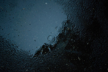 rain drops on asfalt
