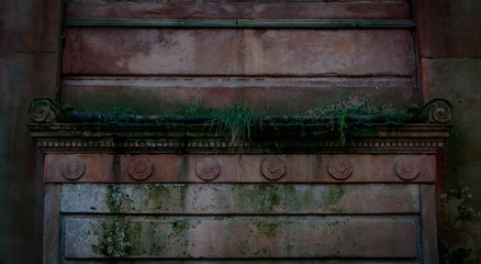 Grass growing on a stone ledge