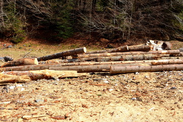 Obraz premium Carpathian mountains. Typical landscape in the forests of Transylvania, Romania. Green landscape in the midsummer, in a sunny day