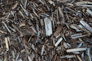 wood sraps after overflow river