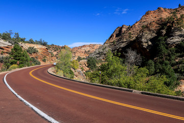 Forest Highway in the Zion National Park, Utah, USA