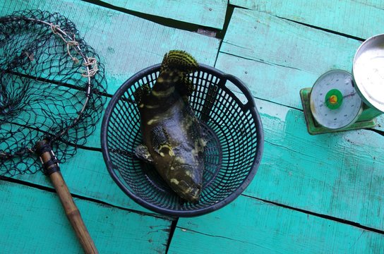 Good Catch!