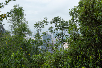Bogotá, colombia city at morning landsacape in cloudy day viewed from andean rainforest mountains...