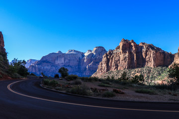 Forest Highway in the Zion National Park, Utah, USA