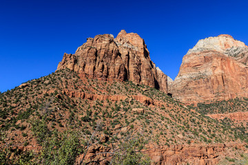 Fototapeta premium Amazing View to the Forest Mountains of Zion National Park, Utah, USA