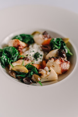 Octopus salad with stracciatella, tomatoes, olives and green basilisk on a plate. Light table background. Smooth image with shallow depth of field.