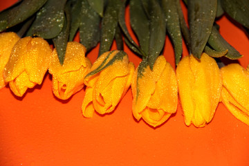 Wet yellow tulips on an orange table. Wet bright flowers.