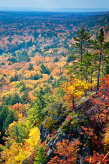 Obraz premium Sunshine and shadows play across the fall colors at Porcupine Mountains Wilderness State Park, Michigan.