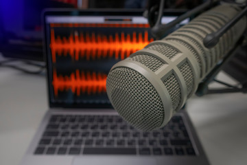 Fototapeta na wymiar professional microphone and sound wave on a computer screen