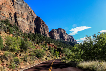 Amazing View to the Forest Mountains of Zion National Park, USA