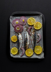 Three horse mackerel fish 