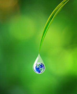 International Earth Day Concept, Earth in water drop reflection under green leaf, Elements of this image furnished by NASA
