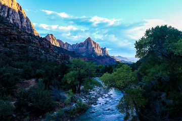 Amazing View to the Forest Mountains of Zion National Park, USA