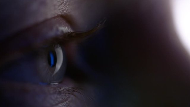 Screen flashes over eye as it focuses on screen