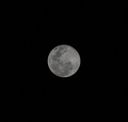 Fototapeta premium Luna