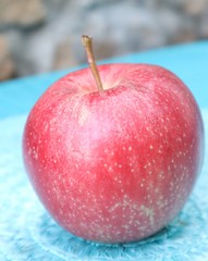 Roter Apfel auf t&uuml;rkisem Hintergrund