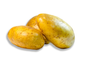 Fresh potato on a white background