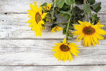 Autumn background with yellow sunflowers on white wooden board
