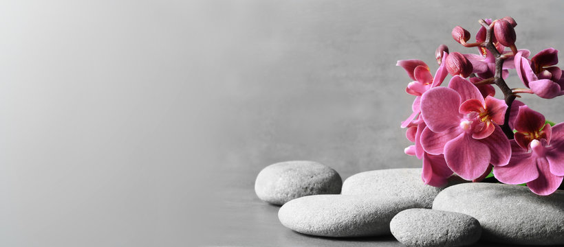 Composition with spa stones, orchid pink flower on grey background.