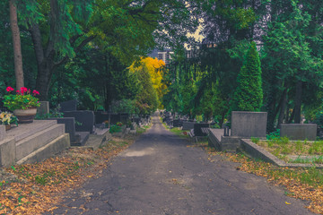 path among tombs and graves at the cemetery during All Saints Day