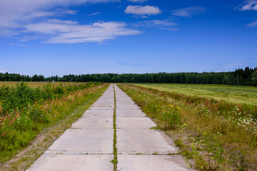 Fototapeta na wymiar Picturesque rural road in an agricultural field, Leningrad region, Russia