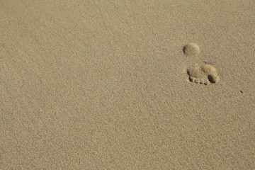 Fototapeta na wymiar Orme su sabbia