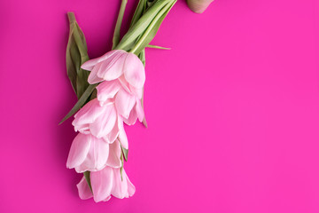 A beautiful pink banner with a place for text with pink tulips.