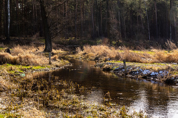 Dolina Górnej Narwi. Rzeka Mieńka. Wiosna na Podlasiu. Polska © podlaski49