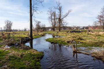 Dolina Górnej Narwi. Rzeka Mieńka. Wiosna na Podlasiu. Polska © podlaski49