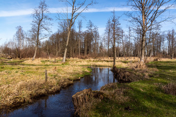 Dolina Górnej Narwi. Rzeka Mieńka. Wiosna na Podlasiu. Polska © podlaski49