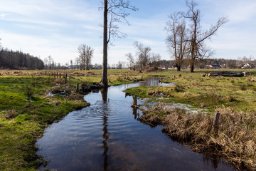 Dolina Górnej Narwi. Rzeka Mieńka. Wiosna na Podlasiu. Polska © podlaski49