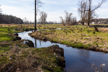 Dolina Górnej Narwi. Rzeka Mieńka. Wiosna na Podlasiu. Polska © podlaski49
