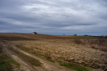 Panorama of arable land under amazing clouds