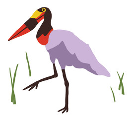 Illustration of Jabiru