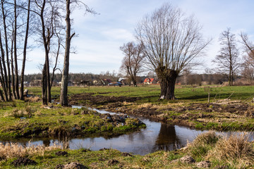 Dolina Górnej Narwi. Rzeka Mieńka. Wiosna na Podlasiu. Polska © podlaski49