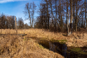Dolina Górnej Narwi. Rzeka Mieńka. Wiosna na Podlasiu. Polska © podlaski49
