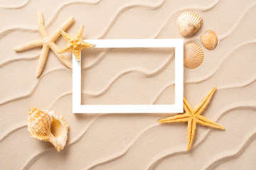 Fototapeta na wymiar Minimal Frame summer background, Sand shells Seastar vacation and travel concept, Flat lay top view copy space, exotic concept