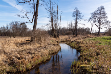 Dolina Górnej Narwi. Rzeka Mieńka. Wiosna na Podlasiu. Polska © podlaski49